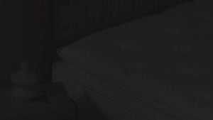 Lyzza Prestige