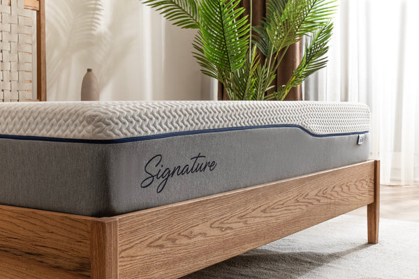 Lyzza Signature